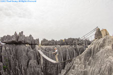 suspension bridge